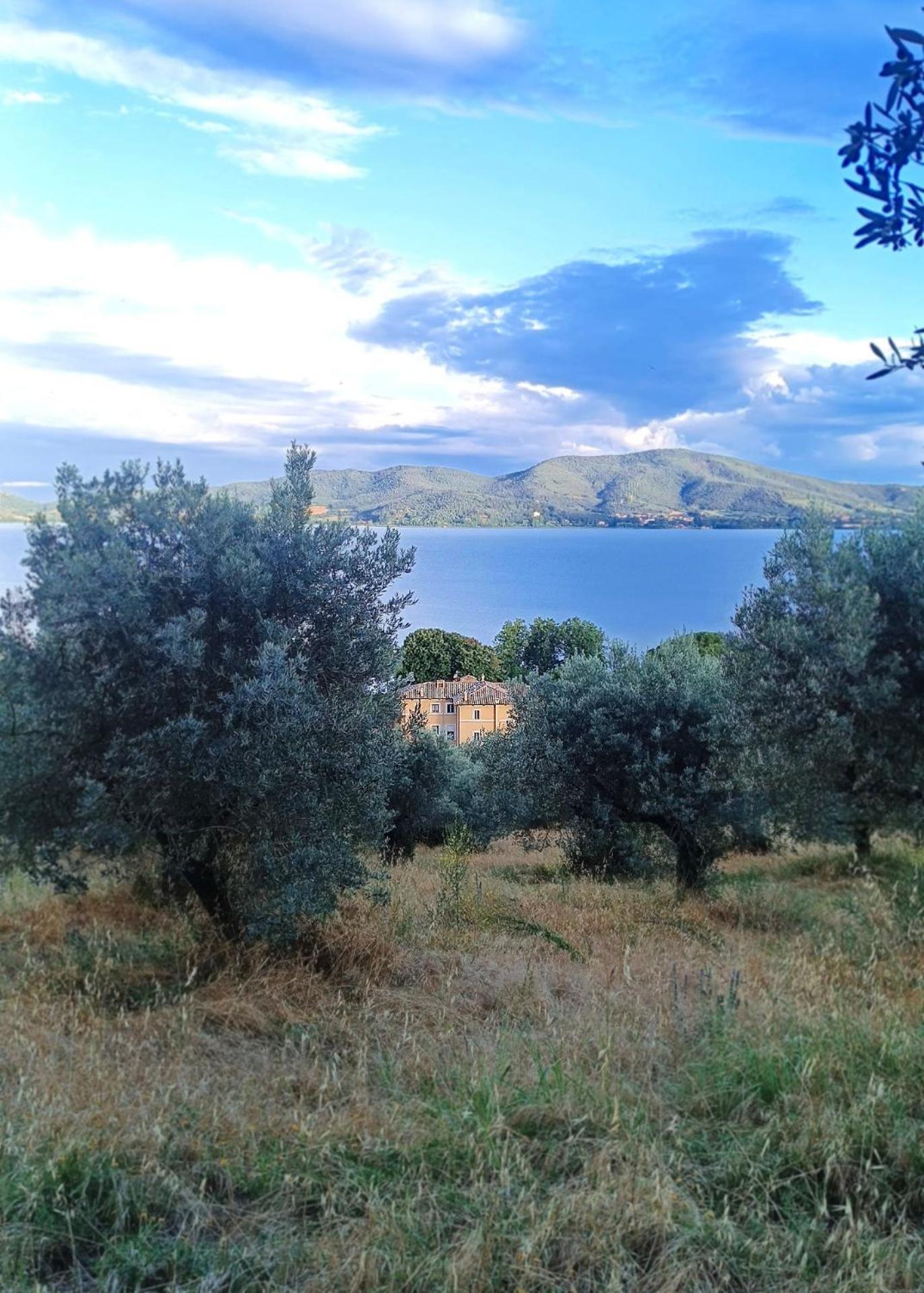 Isola Polvese Resort Castiglione del Lago Ngoại thất bức ảnh